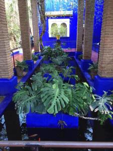 Belle résidence avec piscine à Marrakech