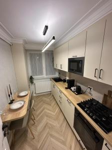 Central Apartment Luxury Suceava