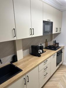 Central Apartment Luxury Suceava