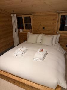 Luxury family Chalet with extraordinary Mountain views