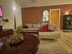 Drive & stay arctic Villa with car, sauna and hot tube