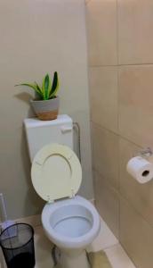 Yoleni self catering apartment 1