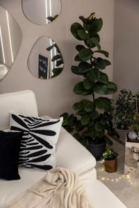 AlexandraDesignSuite -Eleganza a due passi dal centro