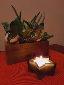 Spacious and cozy apartment by the Daugava River