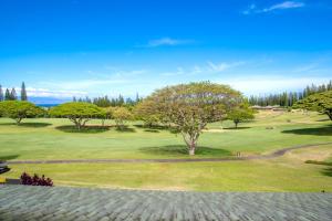 Kapalua Golf Villas 5 FREE Rental Cars KBM Resorts Large Bedrooms 5 Units 7 Bedrooms ML-2366