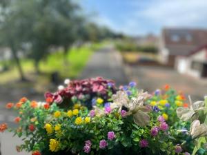 Entire Pet Friendly Apartment Self Check In