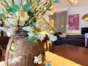 Domus Altiora Centro