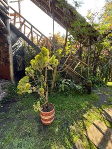 Cabaña en la Calera BersaNina Con Sauna a Vapor