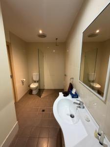 Alice On Todd Apartments