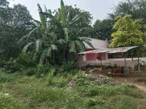 Arunachala Ecoville - Free Parking, Quiet Stay, 6 km to Temple