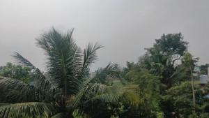 Arunachala Ecoville - Free Parking, Quiet Stay, Budget Friendly