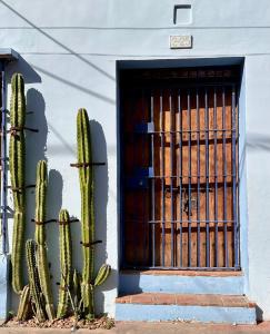 Casa Azul Tropical House by Xarm Apartments