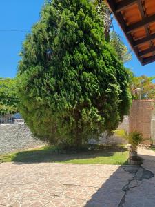 Casa com Piscina 300 m Praia da Daniela