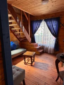 Cabaña punta de Lobos