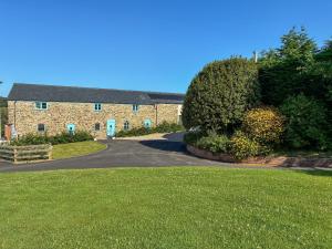 Beech Cottage - Uk49211