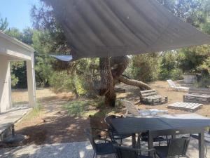 Maison 4 chambres avec WIFI et animaux acceptés à 200m de la plage - FR-1-22-304