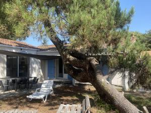 Maison 4 chambres avec WIFI et animaux acceptés à 200m de la plage - FR-1-22-304