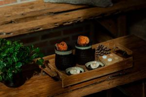 The Tribe Nimman Boutique Hotel