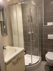 Le Saint Symphorien 4