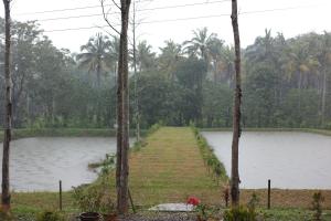 Aquatica by boughn villa