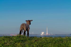 Ferienlandhaus Tossens