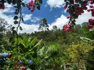 Casa na mata ceu iluminado