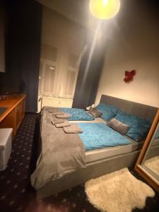 Vysehrad studio near the Congress Centre, new bed