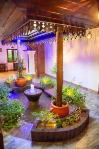 Sea Turtles Bungalow