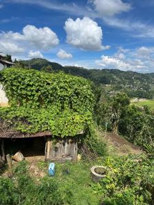 Dasndagaun Community Homesatya