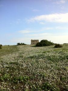 hotel boutique isla de tabarca