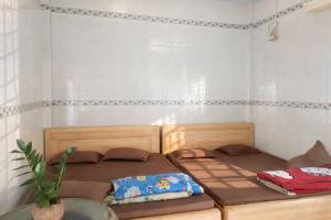 Vườn Dừa Cam Bình 1