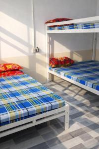 Vườn Dừa Cam Bình 1