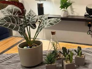 Jodies Place Staycation Family House