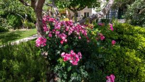 Apartman Dubravka by Villas Guide