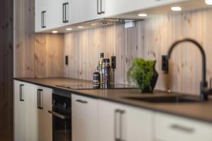 Brand new luxury apartment by the slopes, Hemsedal