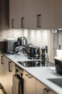 Brand new luxury apartment by the slopes, Hemsedal