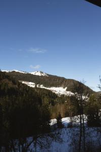 Ski-In Ski-Out Mountain View with Balcony