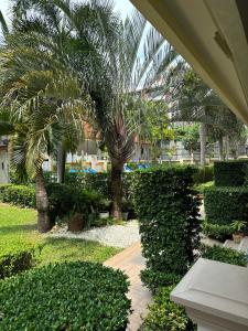 Nordic Dream Paradise 102