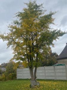 La ferme des souvenirs