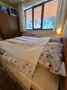 Lucky SP apartments -Pamporovo