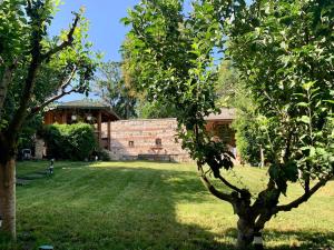 Dana House in Central Cluj