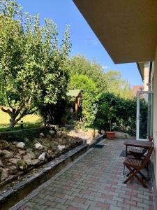 Dana House in Central Cluj