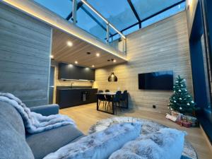 Levi Lapland Luxury Igloos D