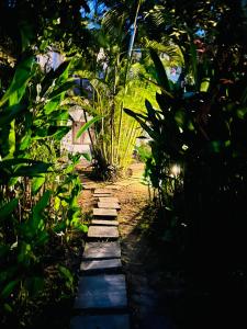 Turtle Eco Beach