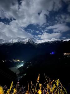 Yellowjackets Hostel Tosh