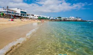 Caballito de mar seahorse