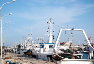 Appartamento Celeste - Lumys Fiumicino