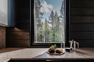 Fjällen Lumière Penthouse Ski-in Ski-out by Aavalevi