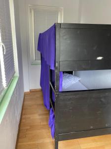 Travellers Haven Hostel