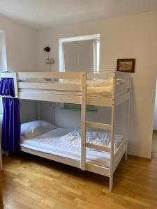 Travellers Haven Hostel